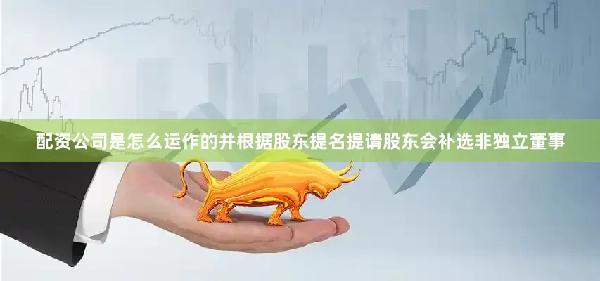 配资公司是怎么运作的并根据股东提名提请股东会补选非独立董事